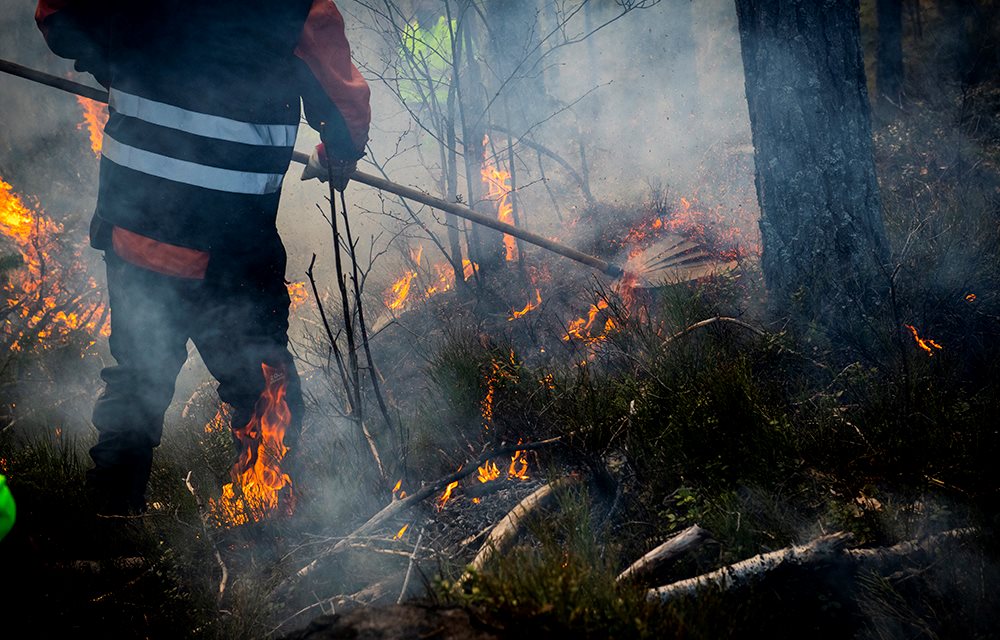 Brannmannskaper i brennende skogsterreng