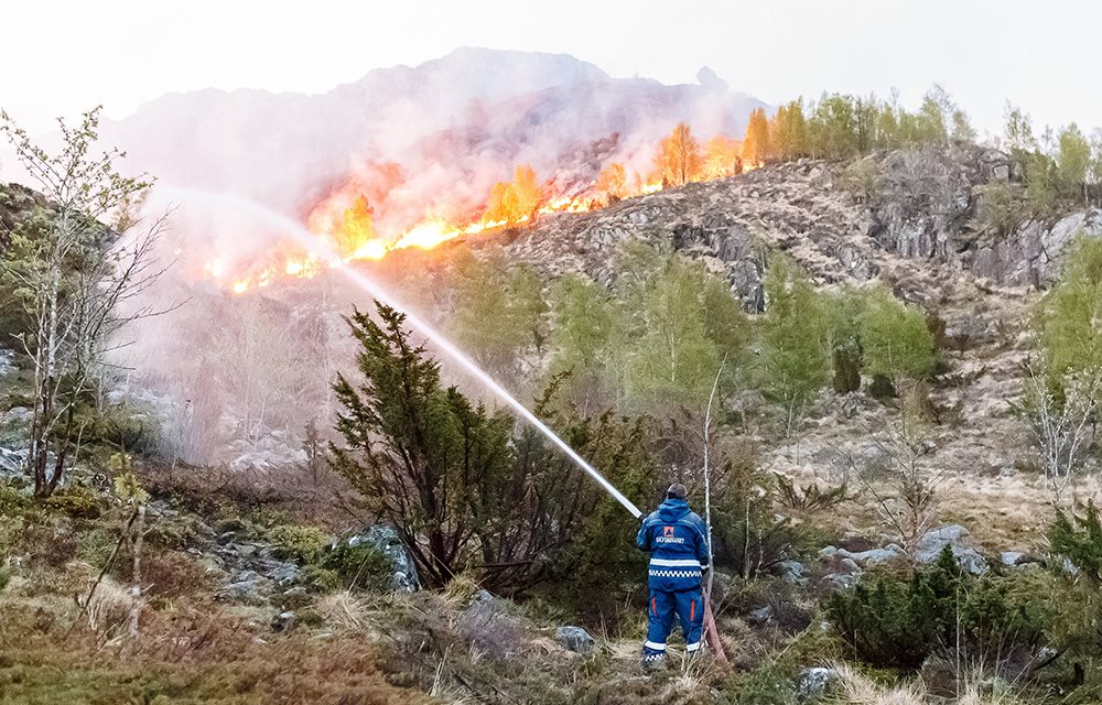 Mannskap i uniform med brannslange mot brennende terreng