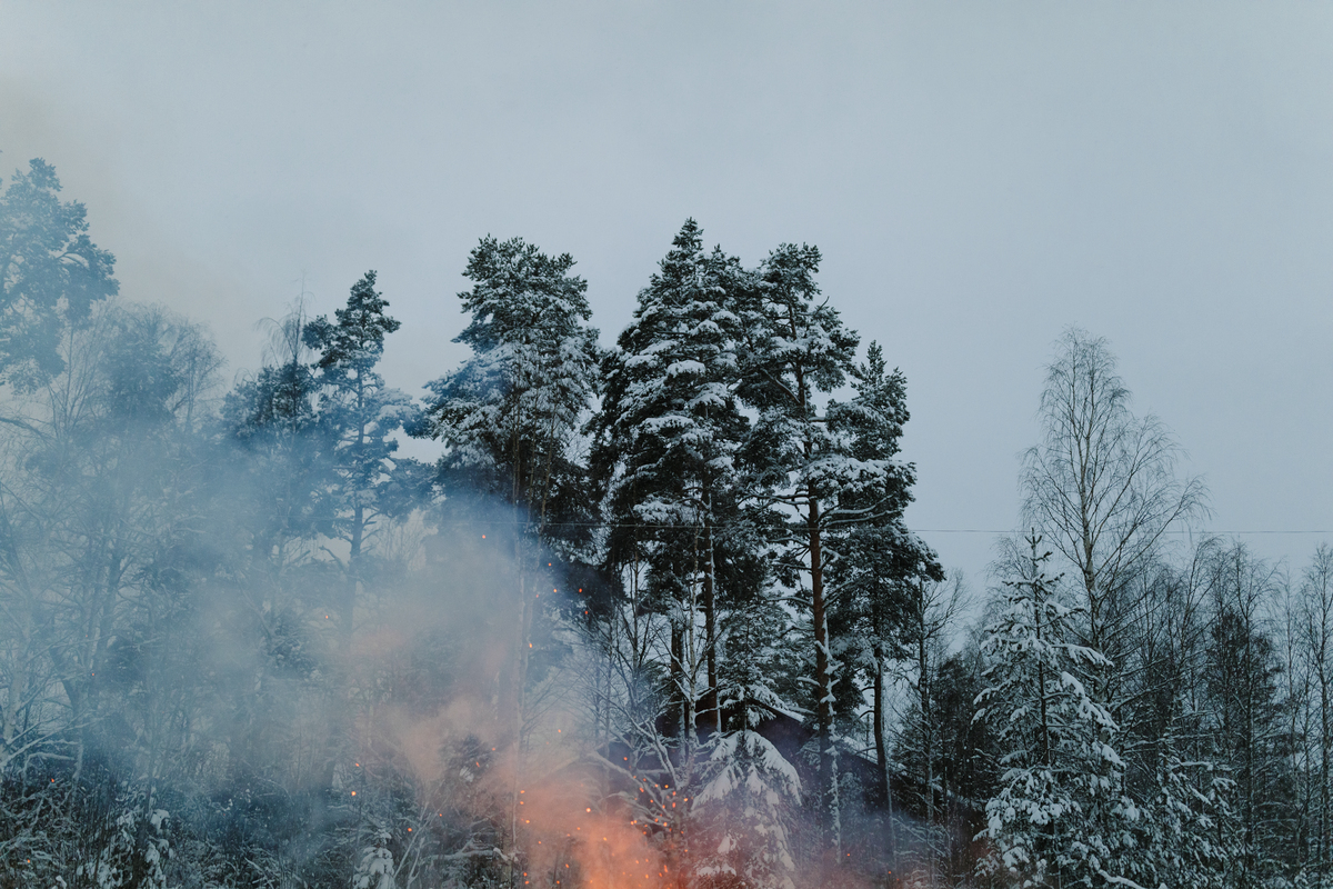 Brann i terrenget foran et hus og snødekte grantrær