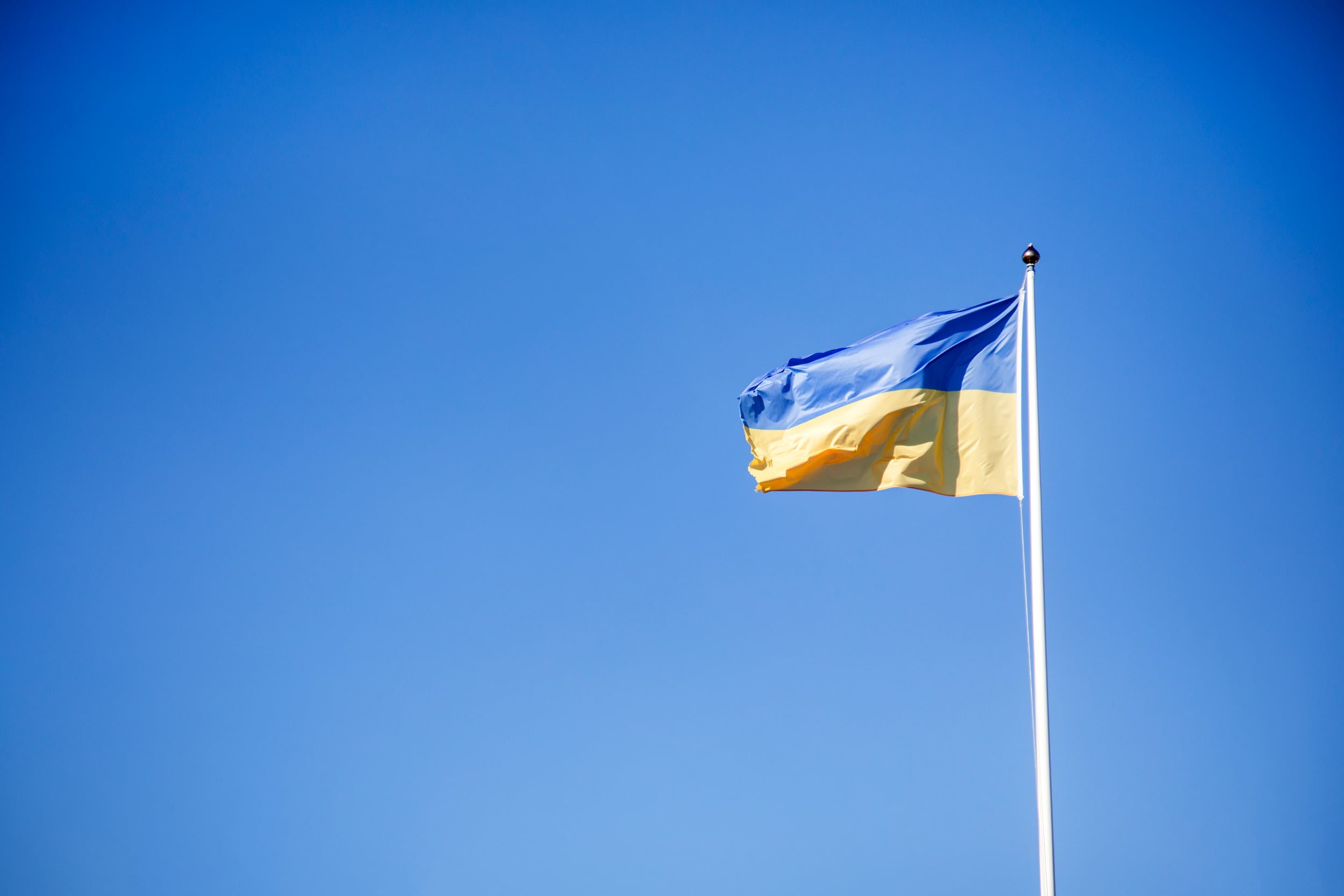 Ukrainsk flagg som vaier i vinden