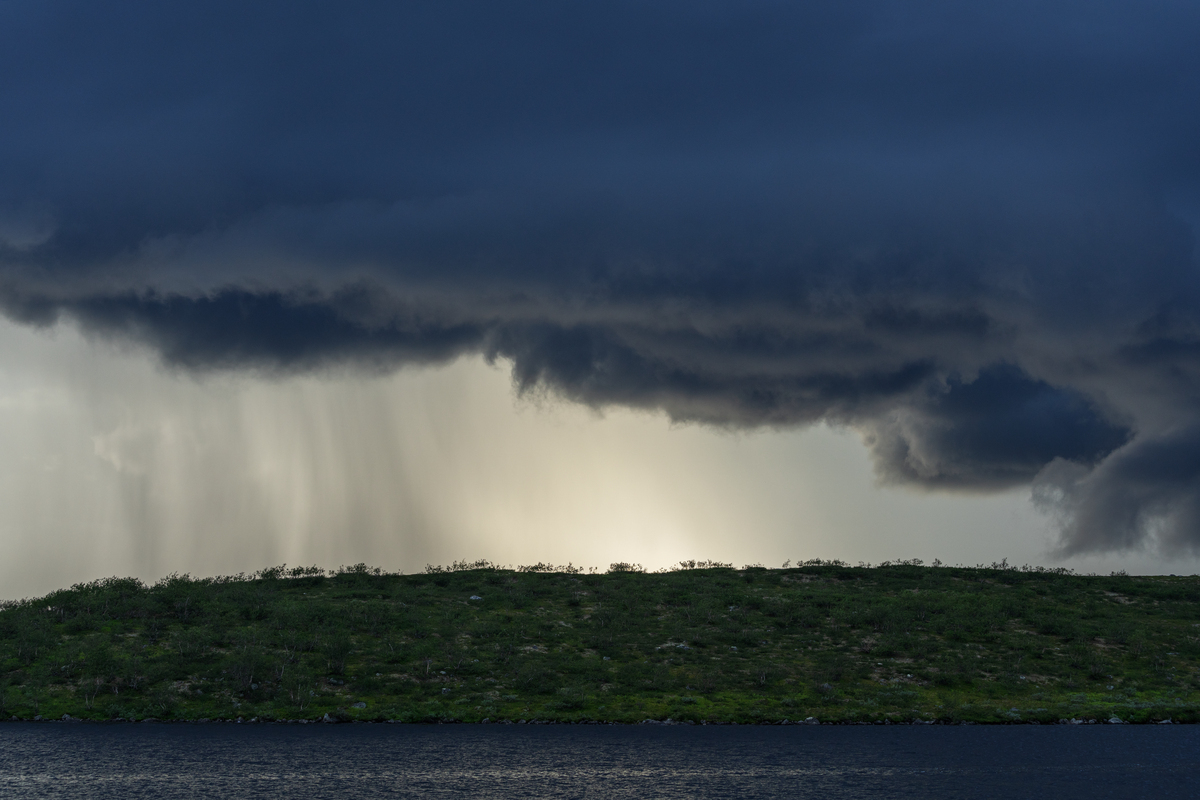 Mørke skyer over siluett av skog