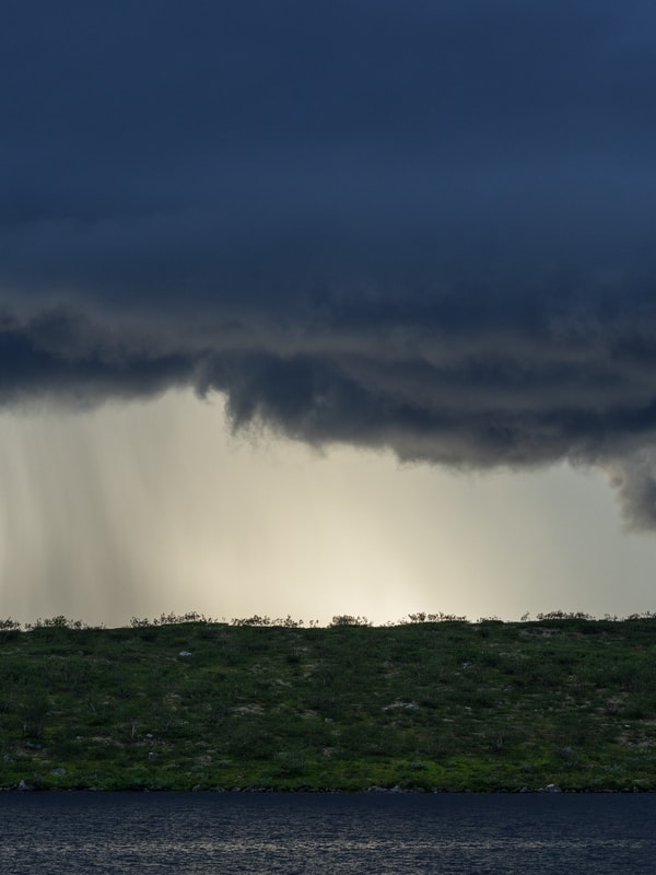 Mørke skyer over siluett av skog