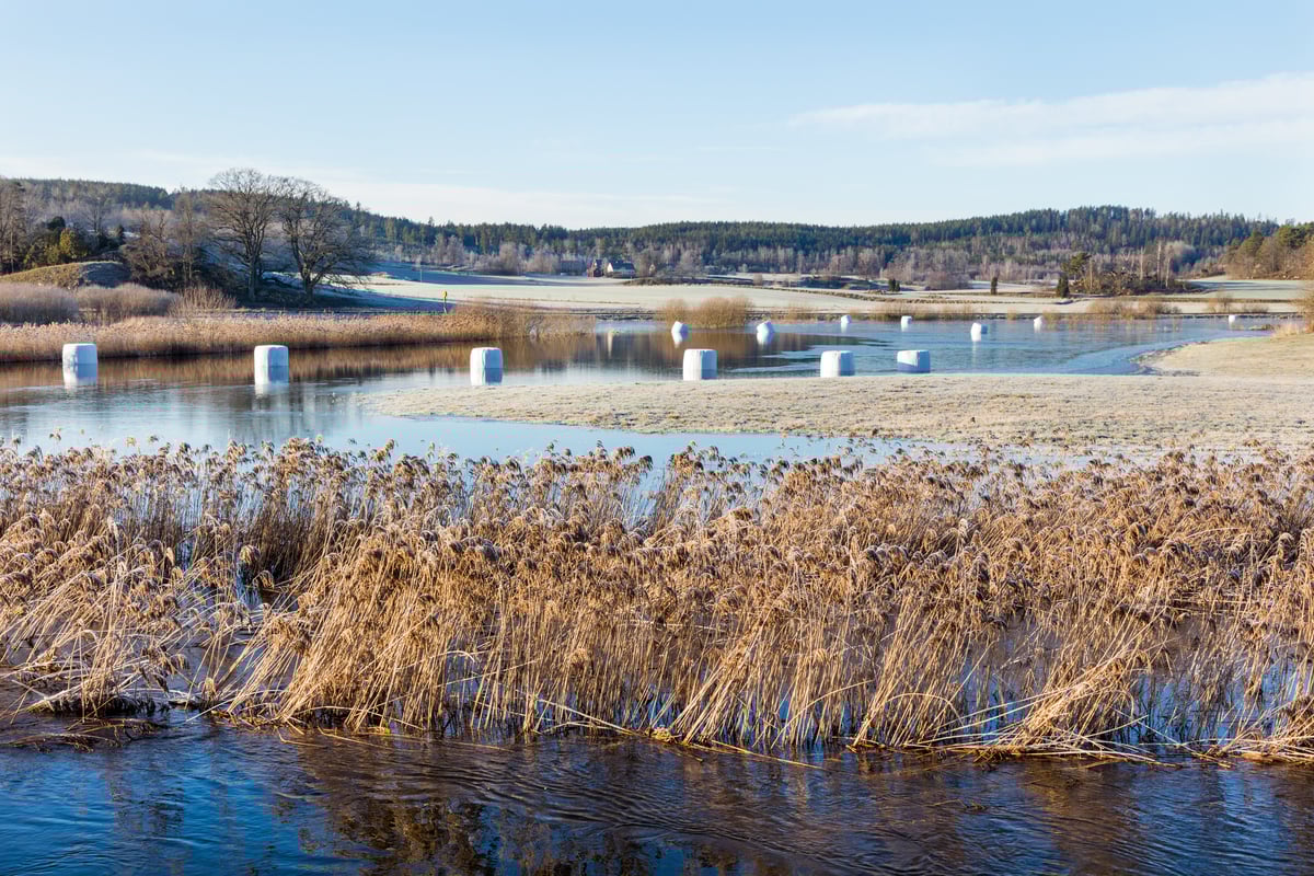 Oversvømt jorde med høyballer