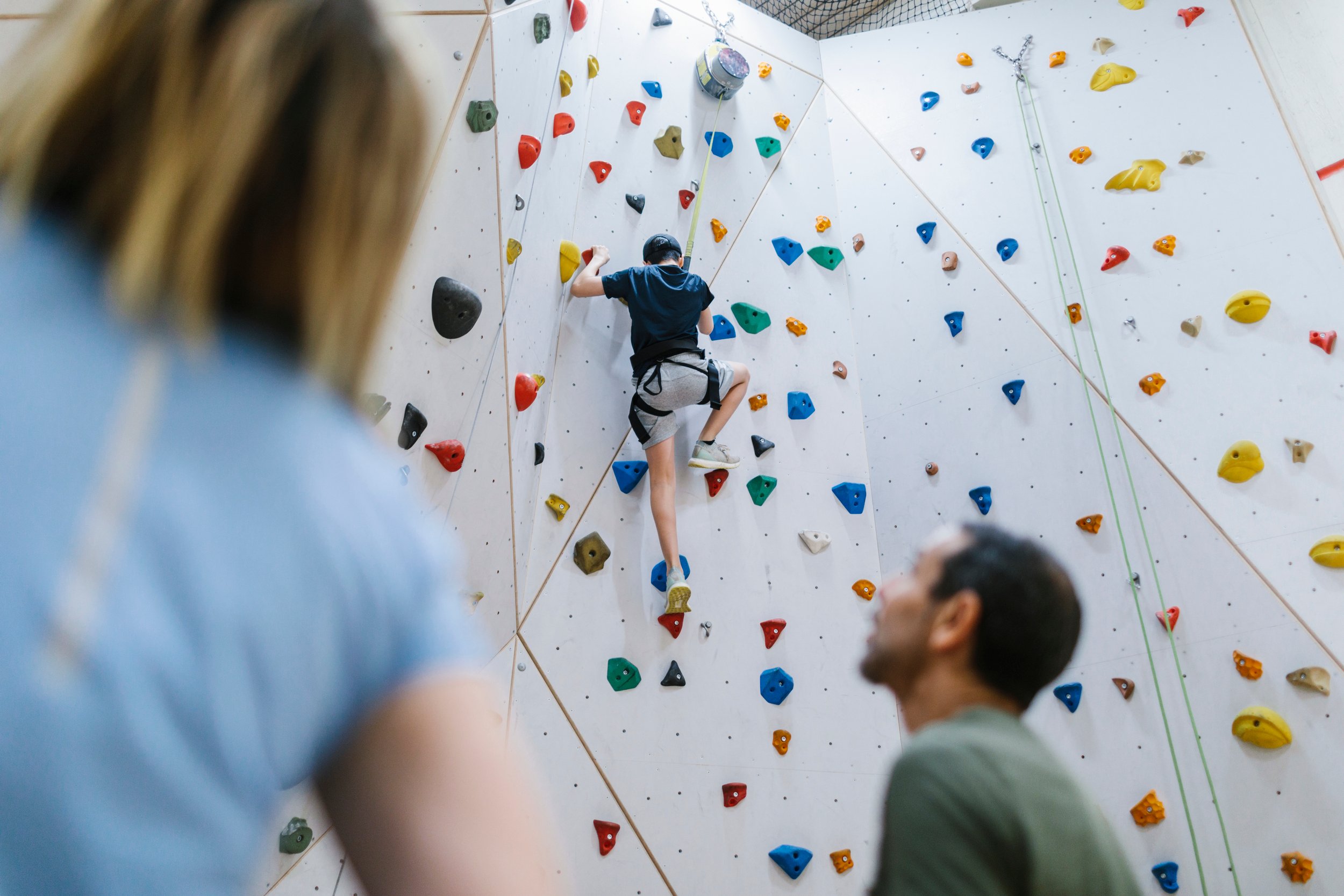 Climbing wall with climbing points in many colours.